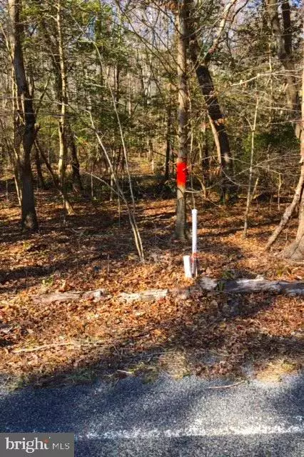 Nanjemoy, MD 20662,LOT 4 HOLLY SPRINGS RD