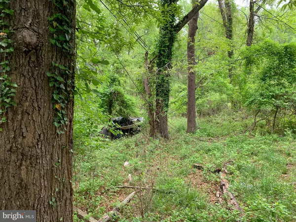 Annapolis, MD 21403,3241 ARUNDEL ON THE BAY RD