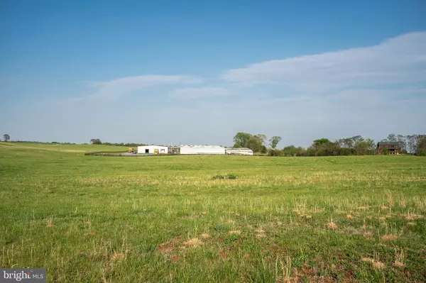 Culpeper, VA 22701,OLD ORANGE