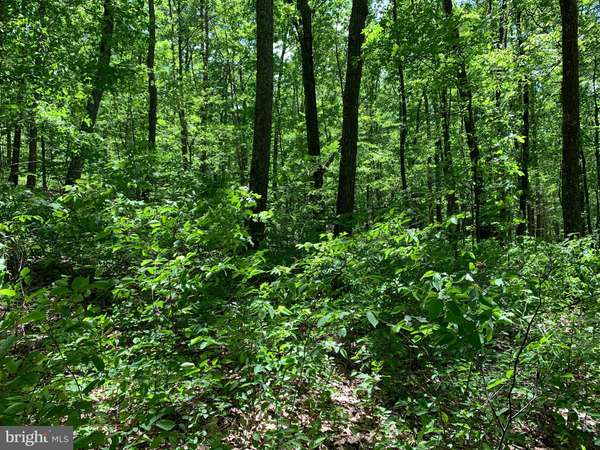 LOT 7 MONROE MOUNTAIN ROAD, Clearville, PA 15535