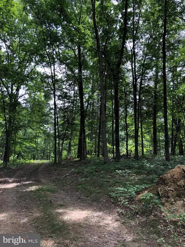 Stephens City, VA 22655,LOT 21 CREEK BEND CT