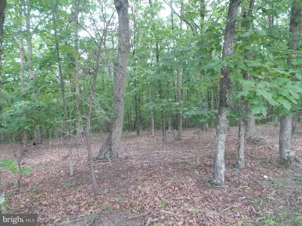 TIMBER RIDGE, Berkeley Springs, WV 25411