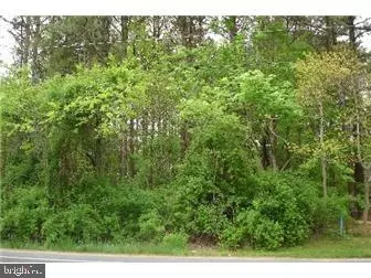 LOT #54 INDEPENDENCE DR, Millsboro, DE 19966