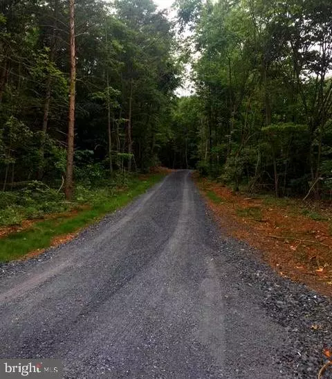 ALONZAVILLE RD., Maurertown, VA 22644