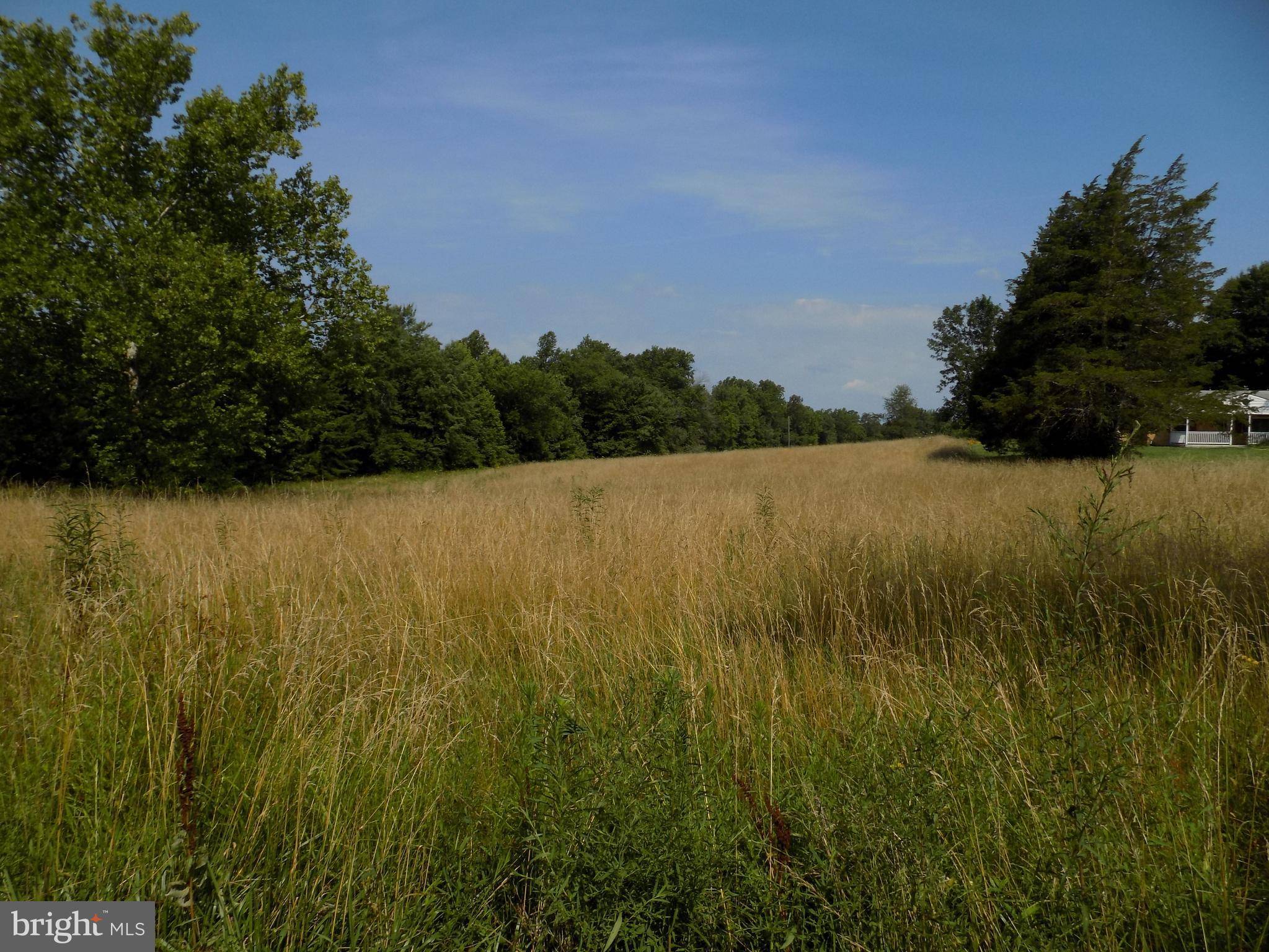 2328 MT OLIVE RD, Beaverdam, VA 23015