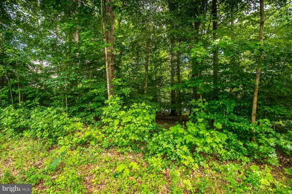 401 LAND OR DR, Ruther Glen, VA 22546