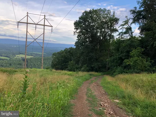 Capon Bridge, WV 26711,MAYFLOWER DRIVE