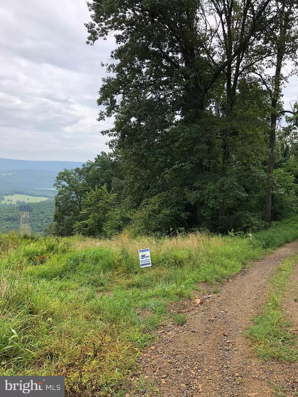 Capon Bridge, WV 26711,MAYFLOWER DRIVE