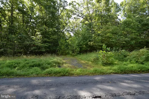 MORELAND GAP ROAD, Mount Jackson, VA 22842