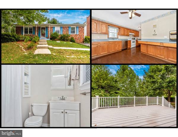 206 TAMARACK WAY, Brunswick, MD 21716