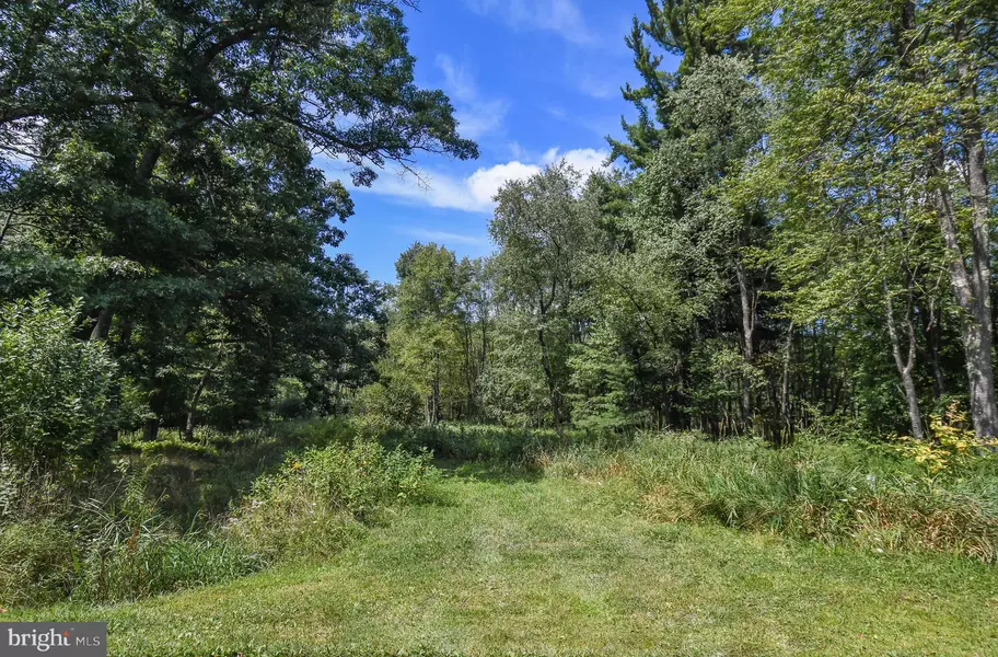 LOT 20 BOYD PAUGH LN, Oakland, MD 21550