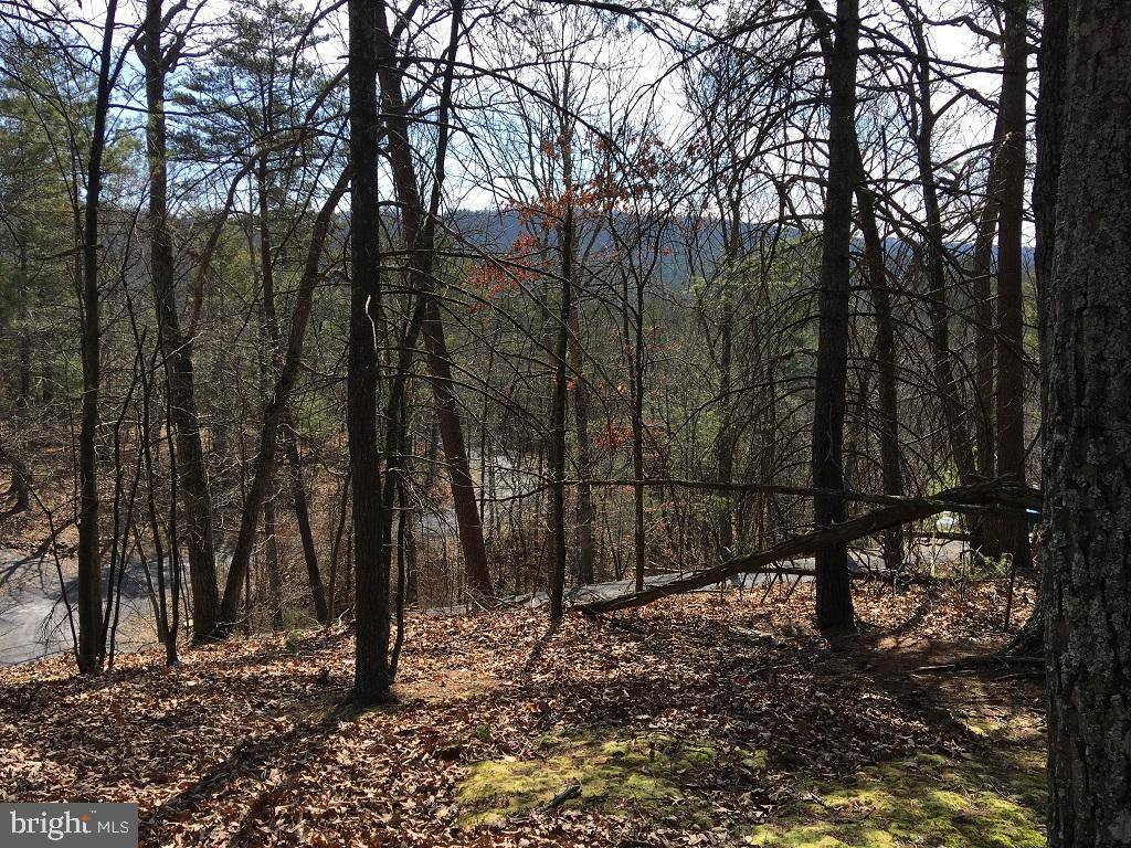 NICKLAUS, Basye, VA 22810