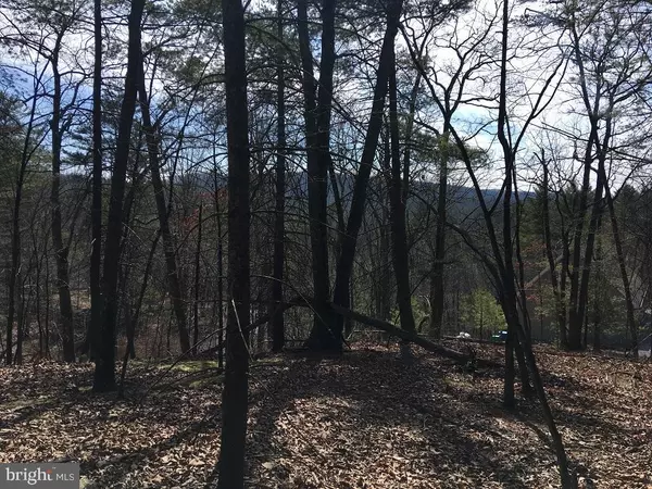 Basye, VA 22810,NICKLAUS