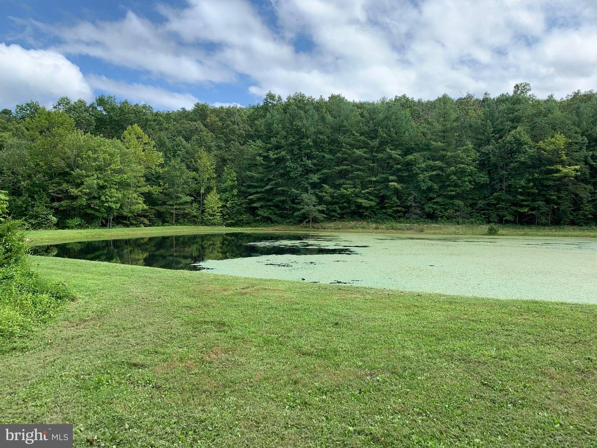 Fort Valley, VA 22652,LOT 198 MINE MOUNTAIN LANE