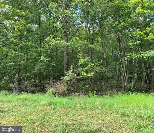 Fort Valley, VA 22652,LOT 198 MINE MOUNTAIN LANE