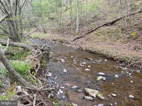 Moorefield, WV 26836,LOT 2 UPPER SKAGGS RUN RD