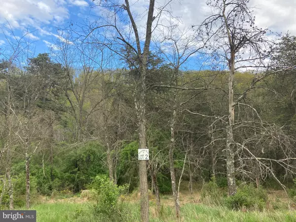 Moorefield, WV 26836,LOT 2 UPPER SKAGGS RUN RD