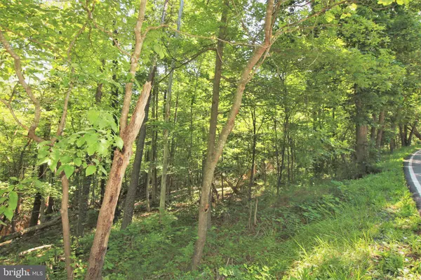 -LOT 19 CREEK VALLEY DR, Basye, VA 22810