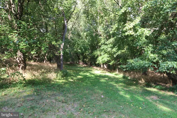 Luray, VA 22835,TBD-LOT 50L SHENANDOAH DR.