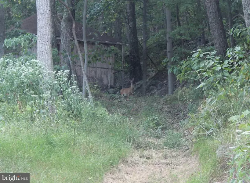 ABEL LN, Great Cacapon, WV 25422