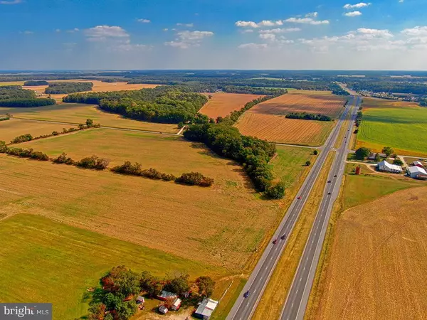 Milton, DE 19968,38.14 ACRE PARCEL ROUTE 1