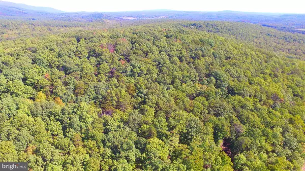 Star Tannery, VA 22654,BUSHY RIDGE -LOT D-1 DR