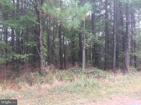 LOT 22 OLIVE BRANCH DR, Stevensville, MD 21666