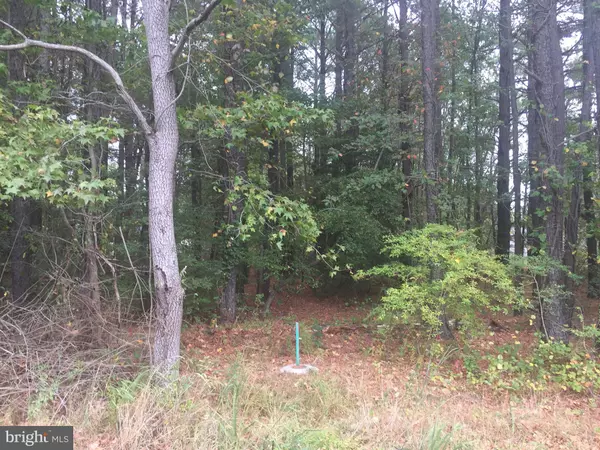 Stevensville, MD 21666,LOT 22 OLIVE BRANCH DR