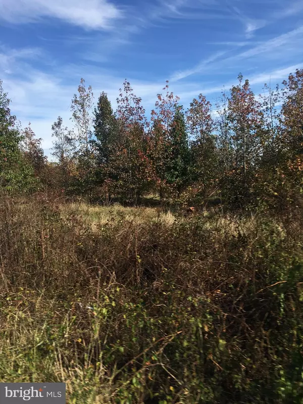 LOT 117 L ST, Capitol Heights, MD 20743