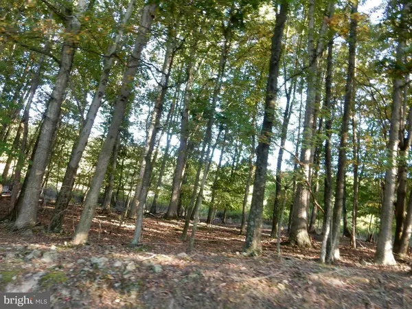 Baker, WV 26801,LOT 3 MEADOW HILLS SUBDIVISION