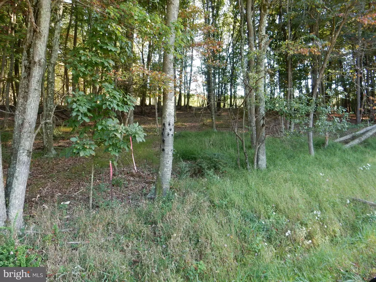 Baker, WV 26801,LOT 3 MEADOW HILLS SUBDIVISION