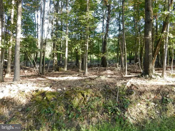 Baker, WV 26801,LOT 3 MEADOW HILLS SUBDIVISION