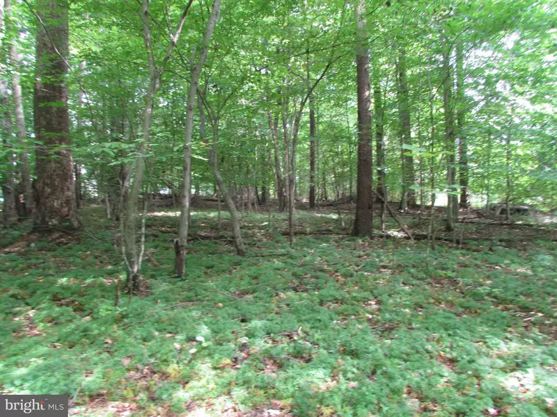 LOT 44 MOODY TOWN ROAD, Bumpass, VA 23024