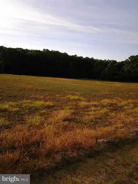 0 BUCKEYE RD, Newark, MD 21841