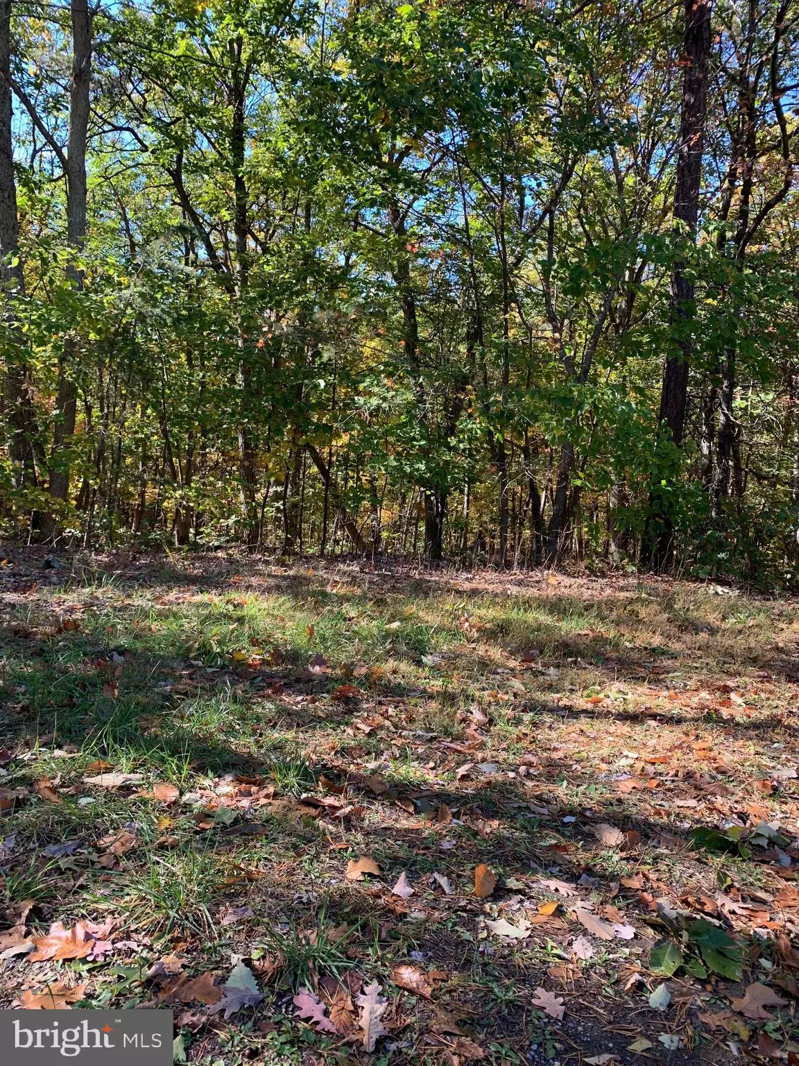 Augusta, WV 26704,LOT 7 KAITLYN WAY