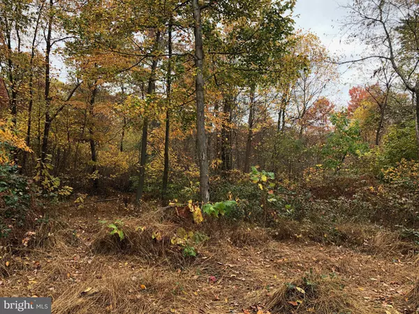 LANCASTER PIKE #LOT 4, New Providence, PA 17560