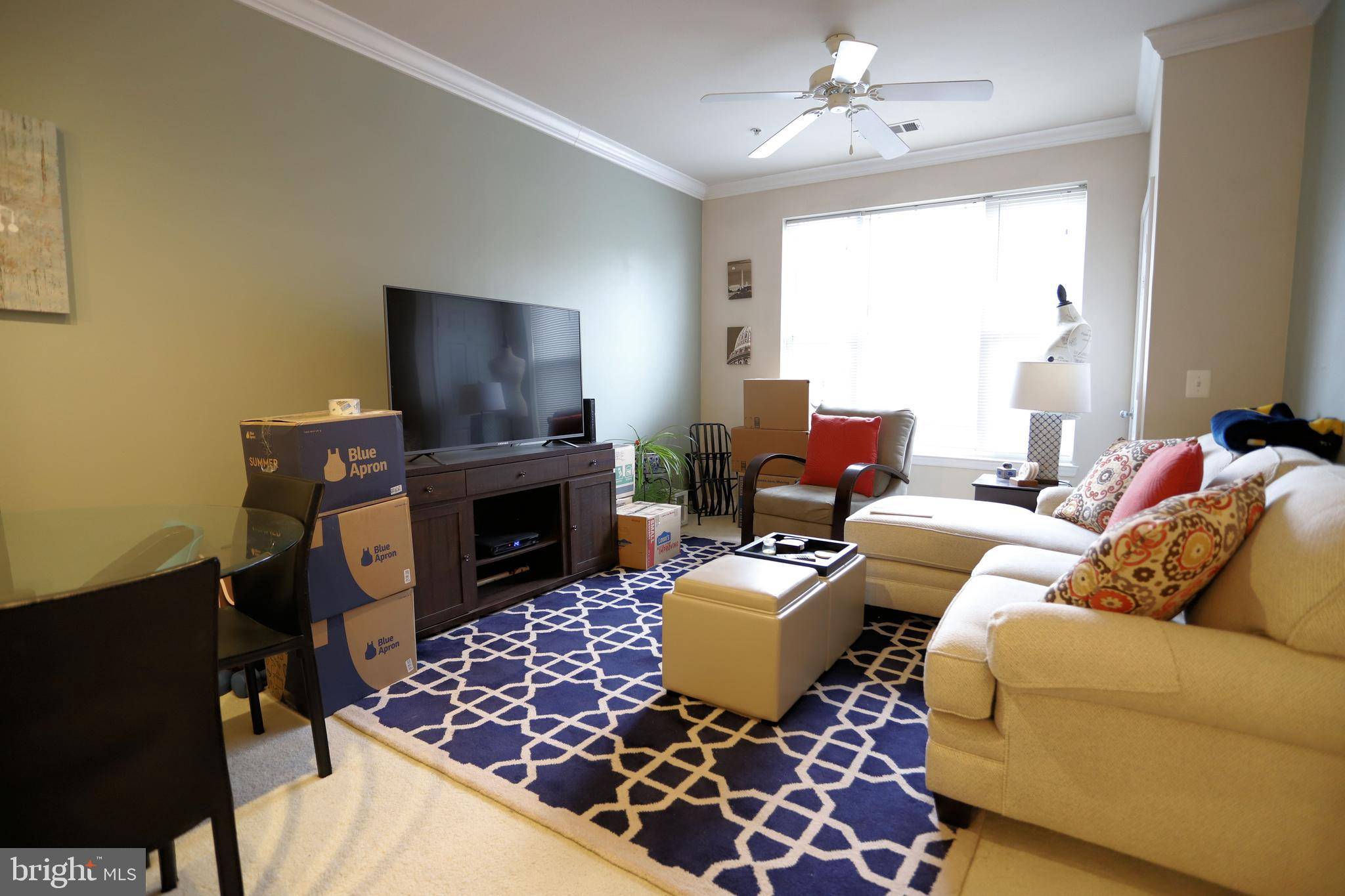 Vienna, VA 22181,2791 CENTERBORO DR #277