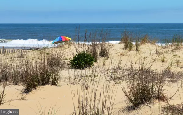 Dewey Beach, DE 19971,15 WEST STREET