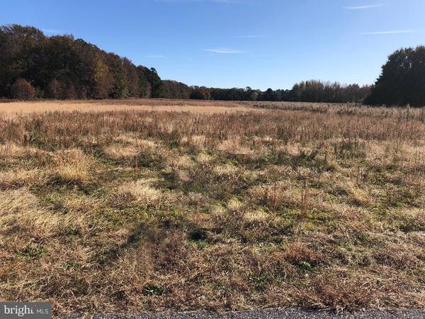 LOT 3 COLLINS RD, Bishopville, MD 21813