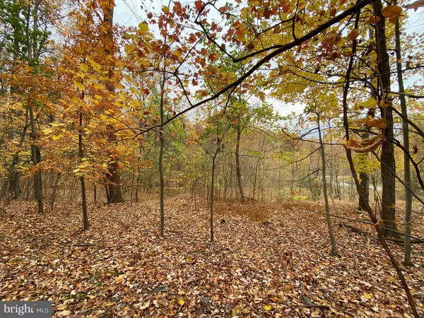 Harpers Ferry, WV 25425,MISSION RIDGE LOT 30