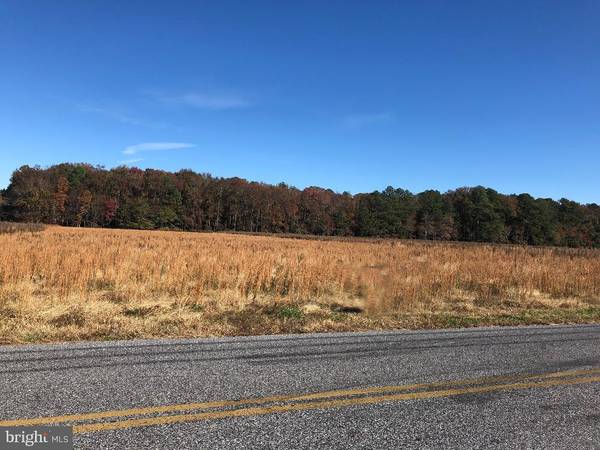 LOT 4 COLLINS RD, Bishopville, MD 21813