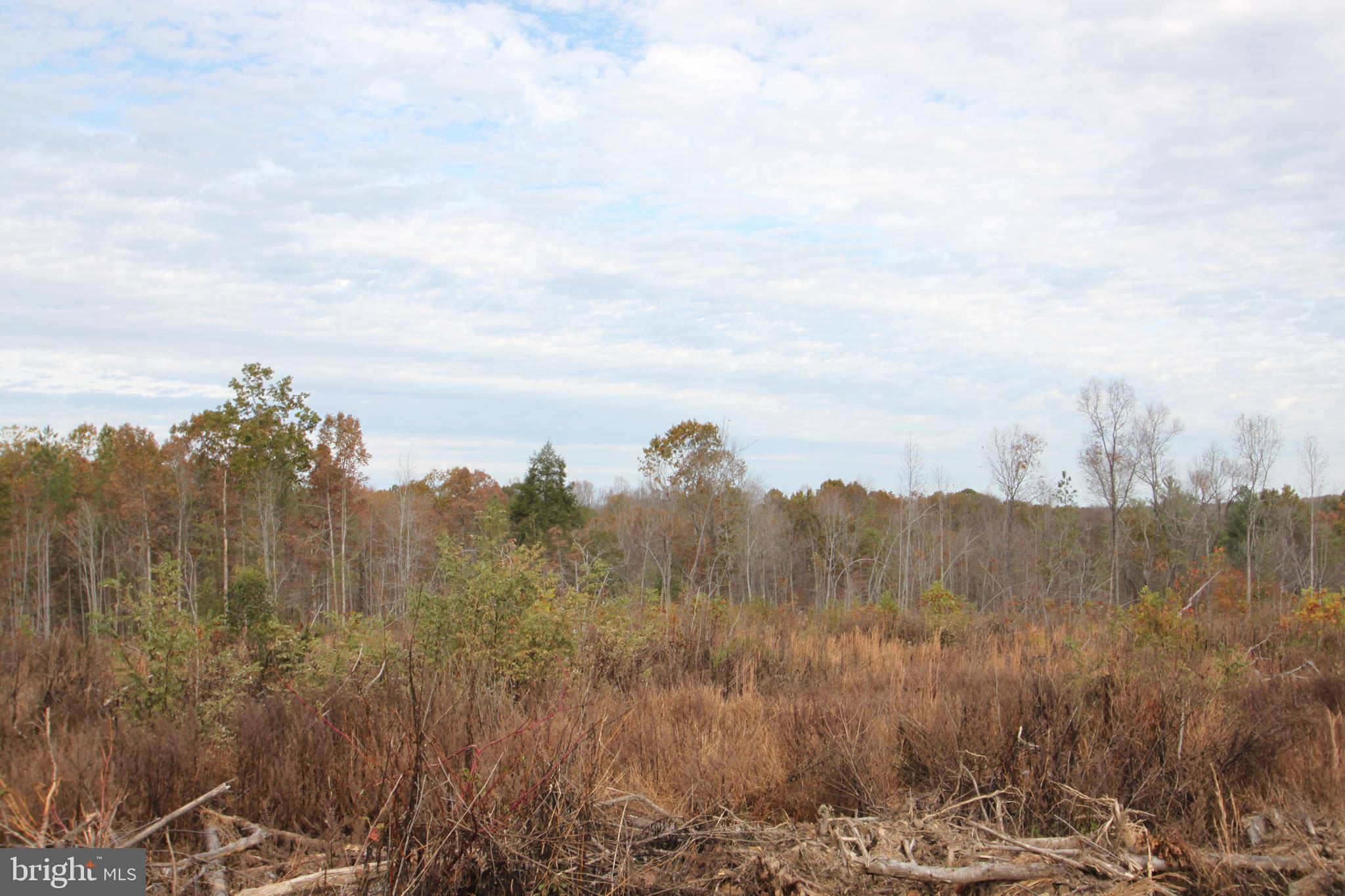 PARCEL 1A LEON RD, Culpeper, VA 22701