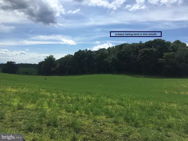 Shelby, VA 22727,00 SHELBY RD