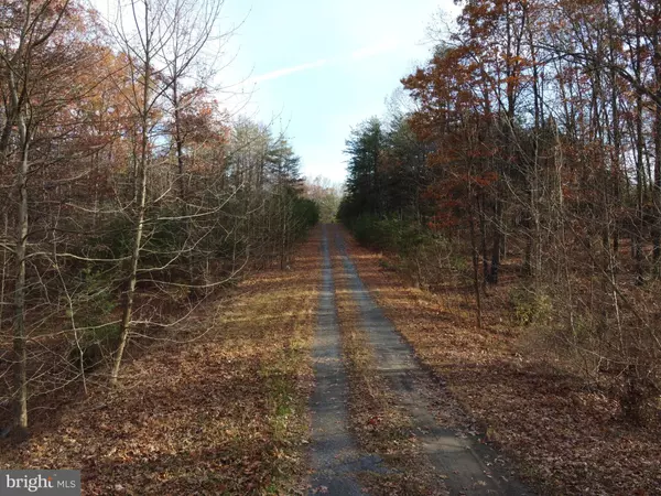 Wardensville, WV 26851,LOT 4, 5, 18 HANNAH CT