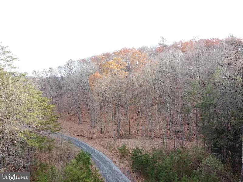 LOT 23 HANNAH CT, Wardensville, WV 26851