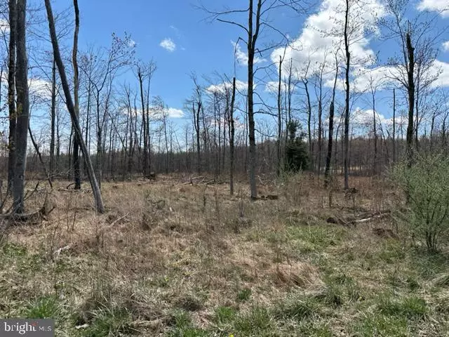 Mount Storm, WV 26739,CHERRY RIDGE ROAD (LOT 2)