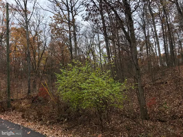 Bunker Hill, WV 25413,LOT 39 SILKWOOD DR