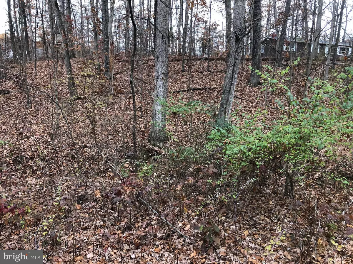 Bunker Hill, WV 25413,LOT 39 SILKWOOD DR