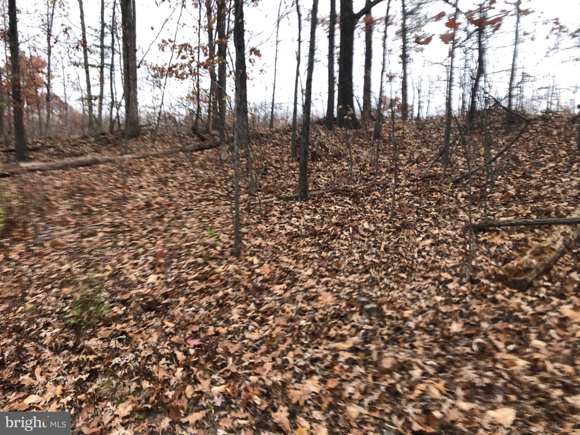 Bunker Hill, WV 25413,LOT 39 SILKWOOD DR