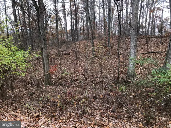 Bunker Hill, WV 25413,LOT 39 SILKWOOD DR